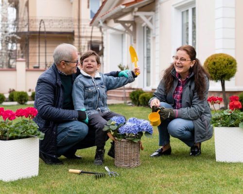 Garden Care Tips for Seniors